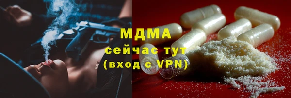 гашик Алексин