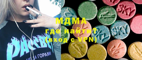 гашик Алексин