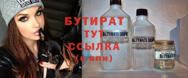 гашик Алексин