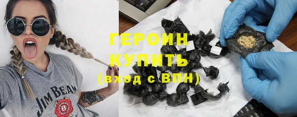 гашик Алексин