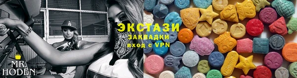 гашик Алексин