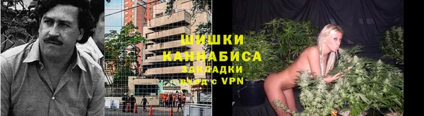 гашик Алексин