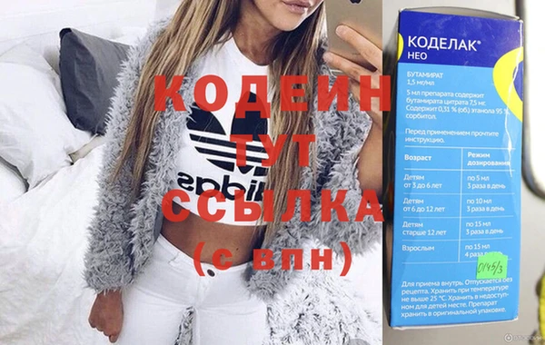 гашик Алексин
