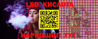 крисы Краснодар