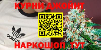 крисы Краснодар