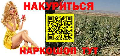 крисы Краснодар
