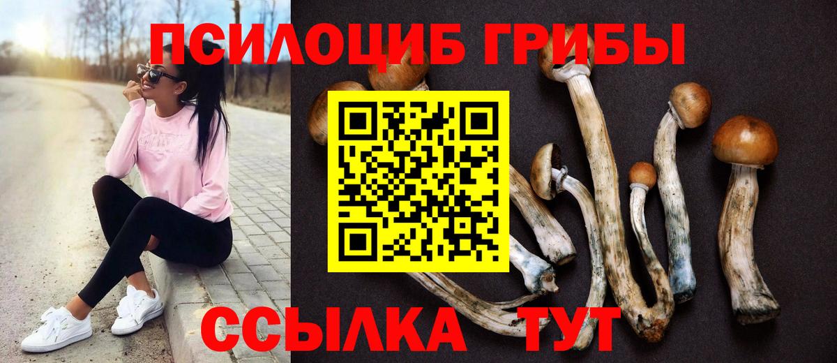 Псилоцибиновые грибы Psilocybine cubensis Жуковский