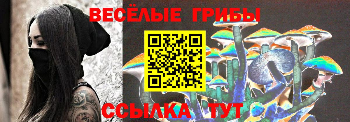 Жуковский  Галлюциногенные грибы мицелий  Галлюциногенные грибы Psilocybe  Вход с VPN 